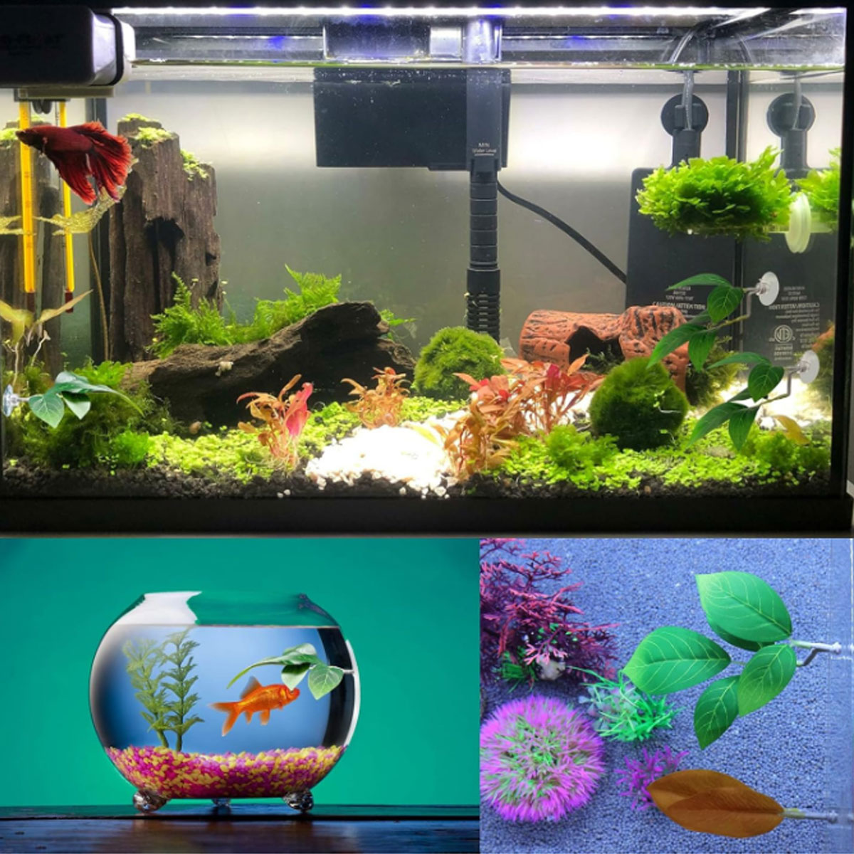 1 Stück Betta-Fisch-Hängematte – Aquarium Plant Design Bewertung und Preis