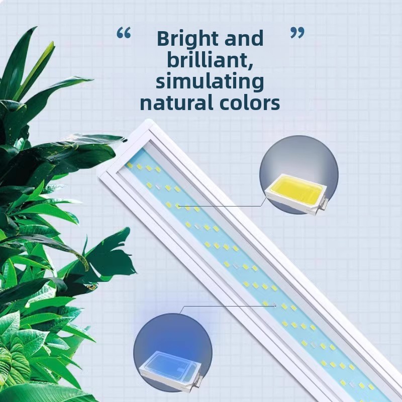 Vollspektrum LED-Aquariumbeleu – Aquarium Planted Background Bewertung und Preis
