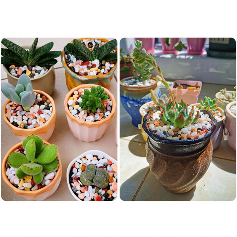 Aquarium-Bodensand, DIY-Zubehö – Planted Aquarium With Sand Bewertung und Preis
