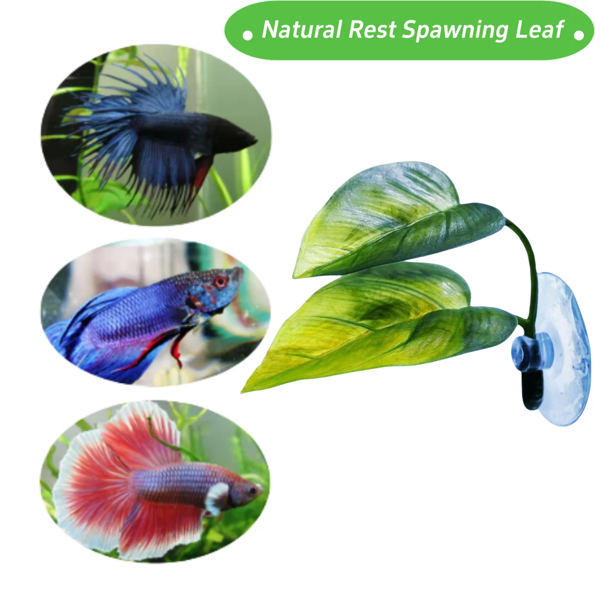 Haustiere Aquarium Dekor Betta – Aquarium Plant Rings Bewertung und Preis