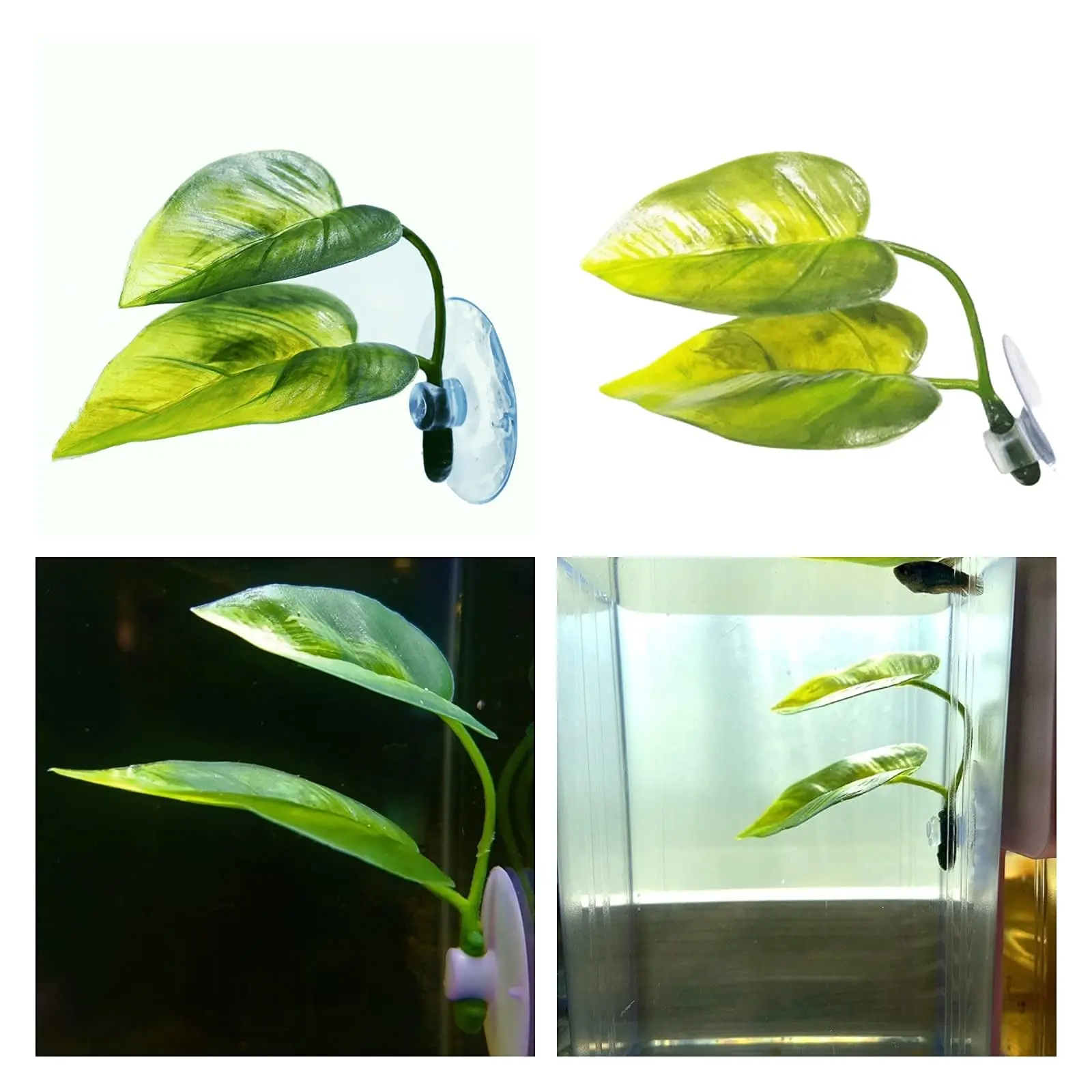 Haustiere Aquarium Dekor Betta – Aquarium Plant Rings Bewertung und Preis