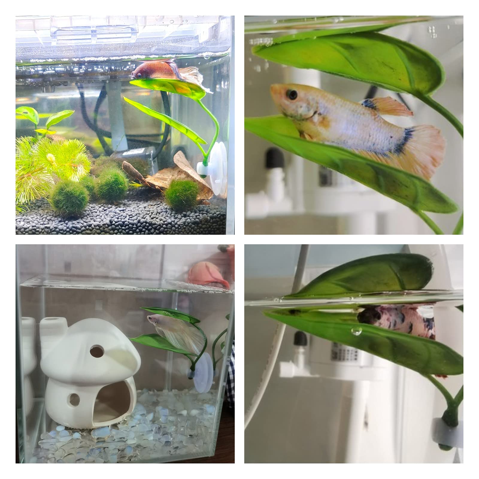 Haustiere Aquarium Dekor Betta – Aquarium Plant Rings Bewertung und Preis