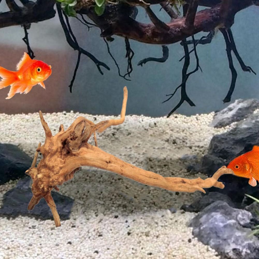 20-25CM Großes Aquarium-Treibh – Aquarium Plant Rings Bewertung und Preis