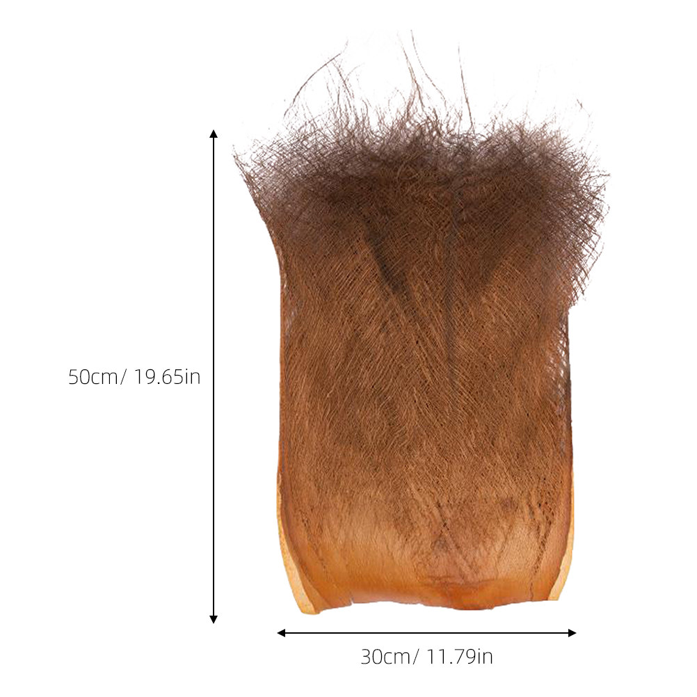 5 Blätter Realistische Palmenr – Aquarium Planted Background Bewertung und Preis