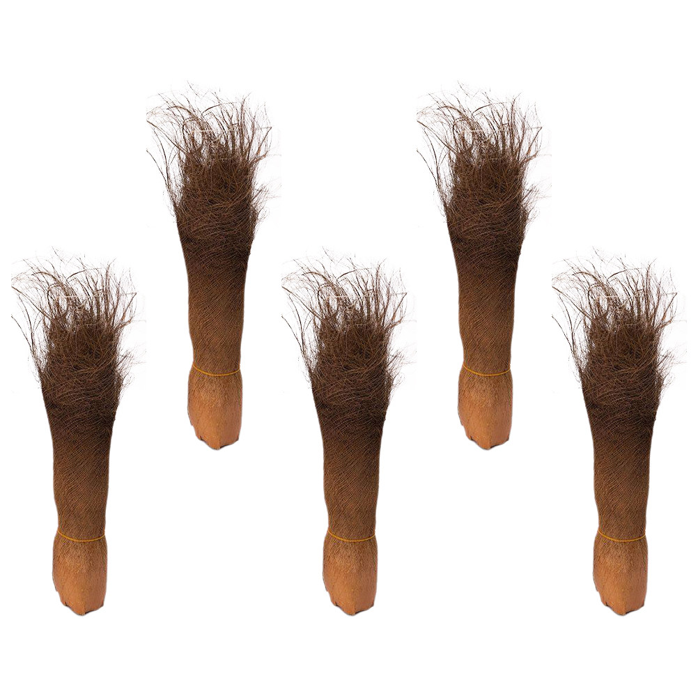 5 Blätter Realistische Palmenr – Aquarium Planted Background Bewertung und Preis