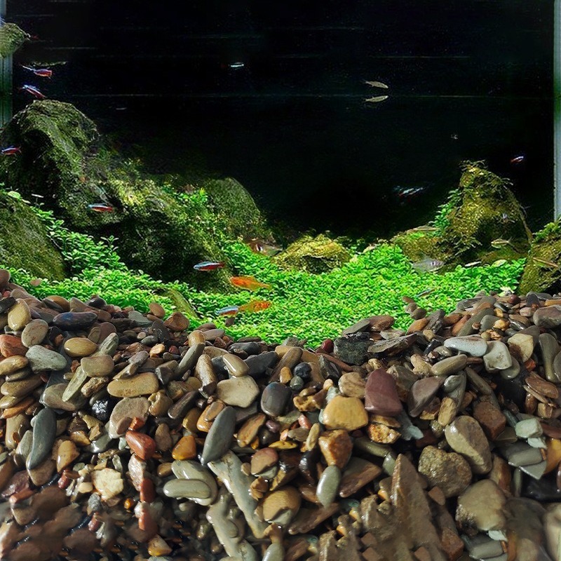 Flusskiesel Aquarium-Bodensand – Planted Aquarium With Sand Bewertung und Preis