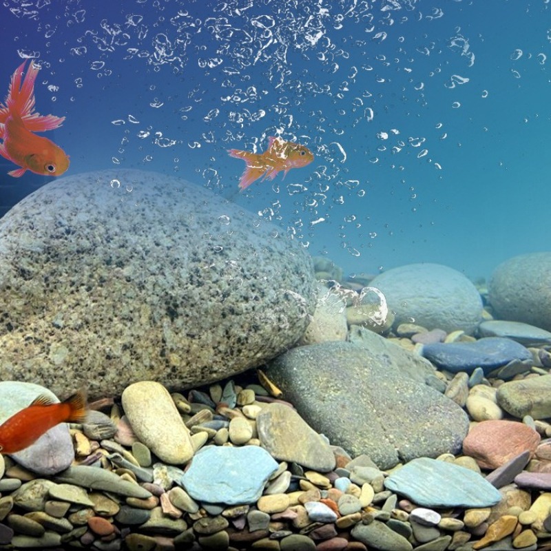 Flusskiesel Aquarium-Bodensand – Planted Aquarium With Sand Bewertung und Preis