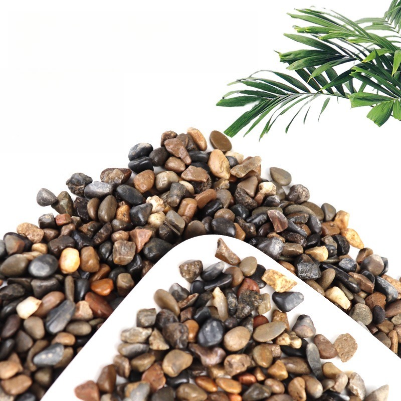Flusskiesel Aquarium-Bodensand – Planted Aquarium With Sand Bewertung und Preis