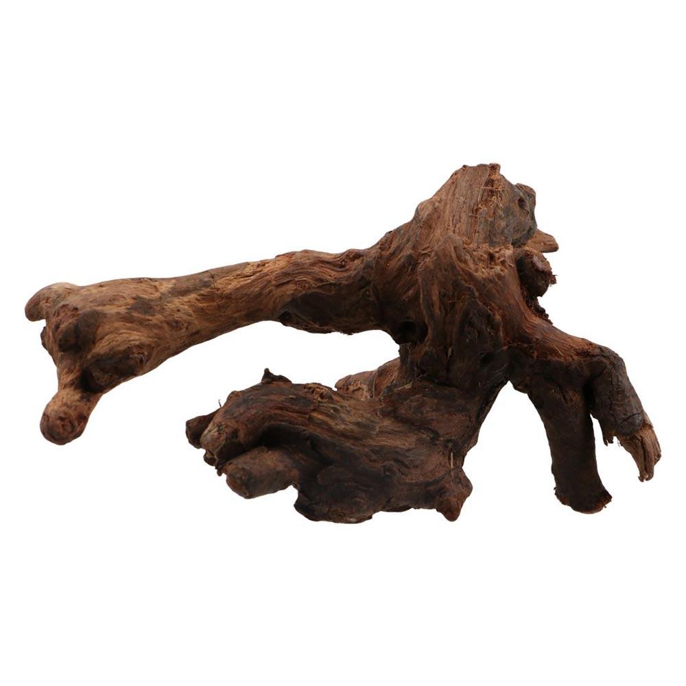 Kreative Unregelmäßige Form Ko – Aquarium Plant Design Bewertung und Preis