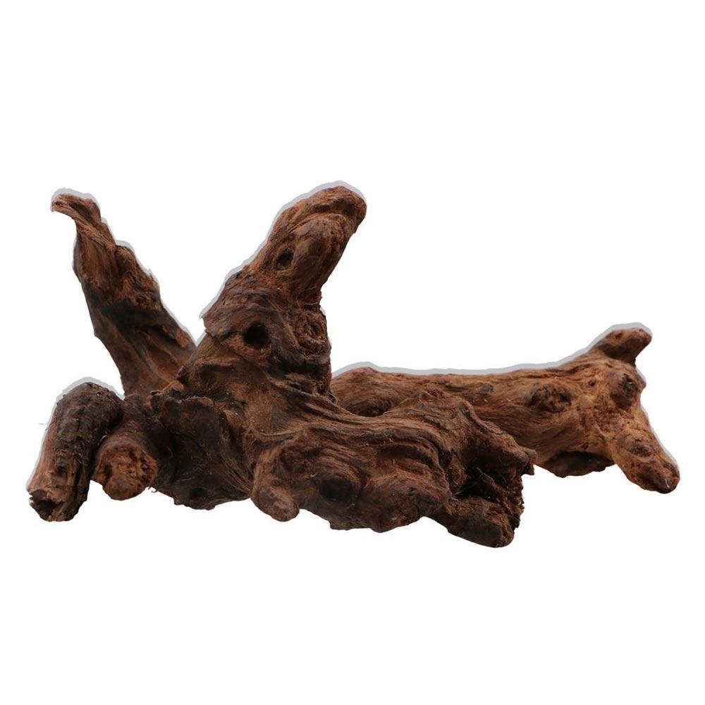 Kreative Unregelmäßige Form Ko – Aquarium Plant Design Bewertung und Preis