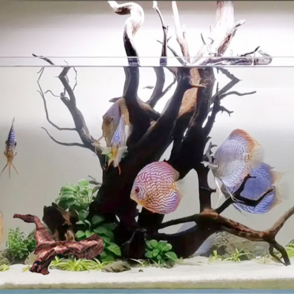 Kreative Unregelmäßige Form Ko – Aquarium Plant Design Bewertung und Preis