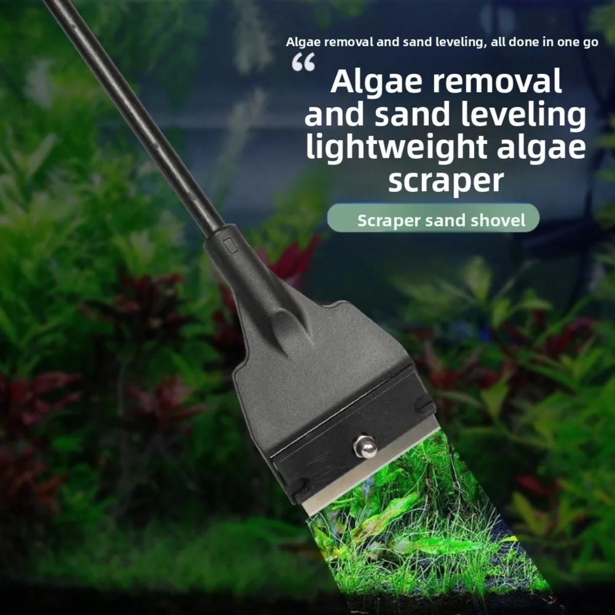 Aquarium-Glasschaber für Algen – Planted Aquarium With Sand Bewertung und Preis