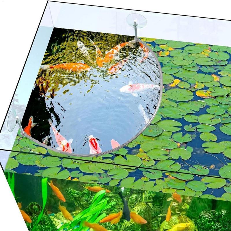 Floating Plant Corral Fish Fee – Aquarium Plant Rings Bewertung und Preis