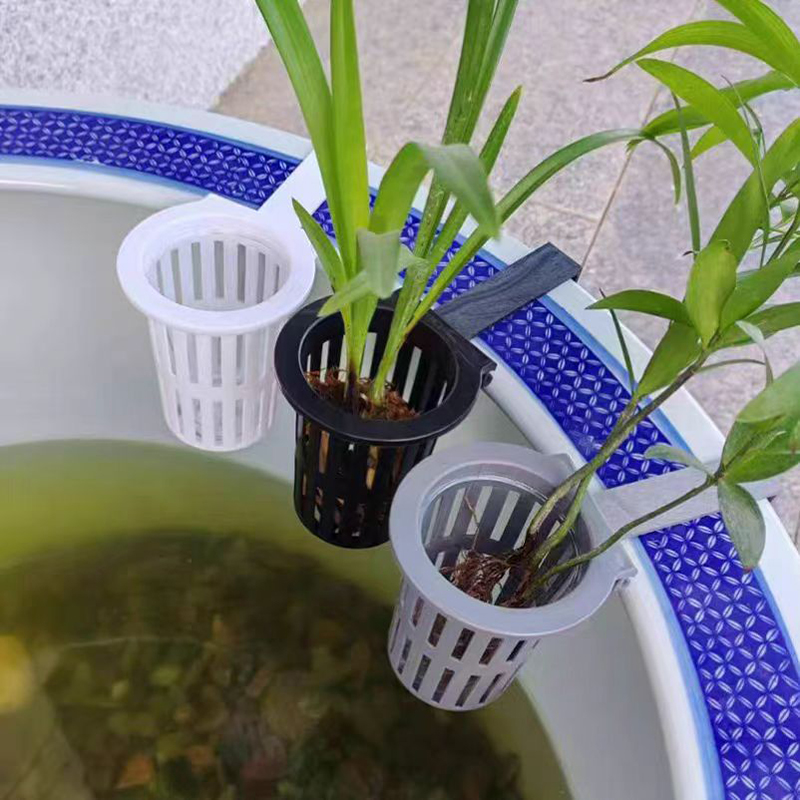 1/3Pcs Aquarium Pflanzen Korb  – Aquarium Plant Rings Bewertung und Preis