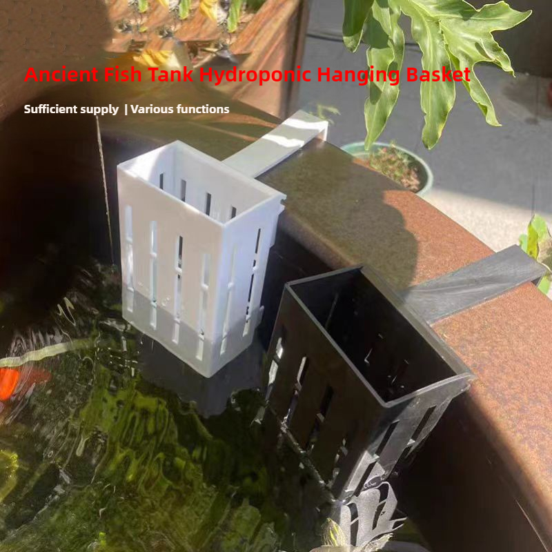 1/3Pcs Aquarium Pflanzen Korb  – Aquarium Plant Rings Bewertung und Preis