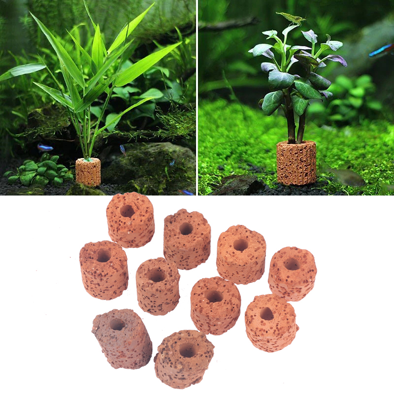 10 Stück Pflanzenringe für Aqu – Aquarium Plant Rings Bewertung und Preis