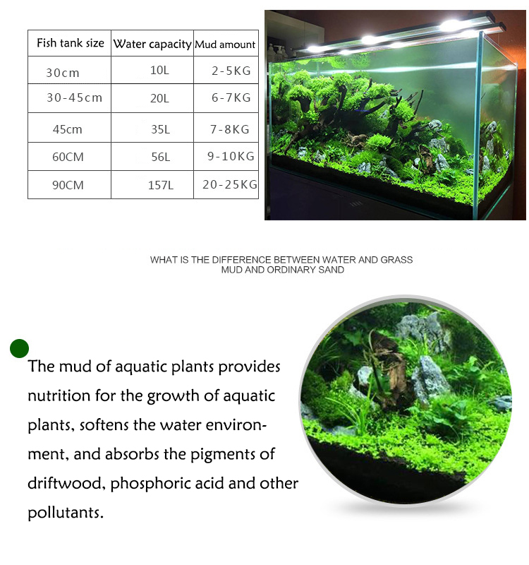 Aquarium Pflanzen Samen Boden  – Planted Aquarium Moss Bewertung und Preis