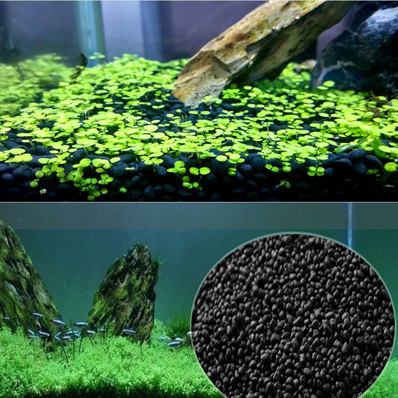 Fischsand, Auarium-Substrat, 1 – Planted Aquarium With Sand Bewertung und Preis