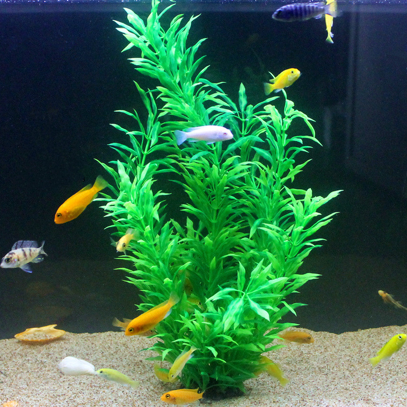 50CM Künstliche Aquarium Selte – Aquarium For Planted Tank Bewertung und Preis