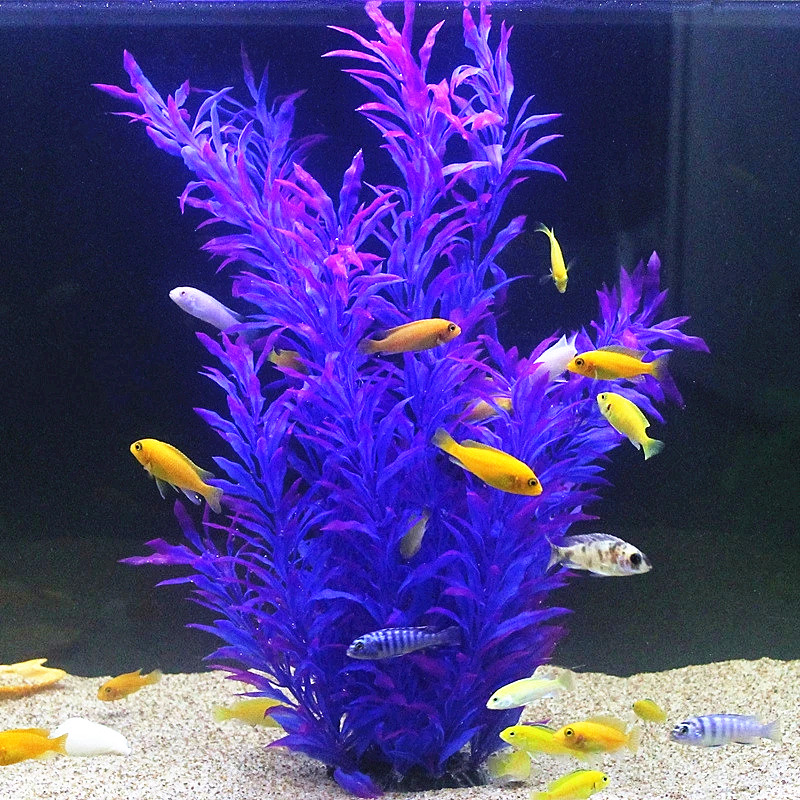 50CM Künstliche Aquarium Selte – Aquarium For Planted Tank Bewertung und Preis