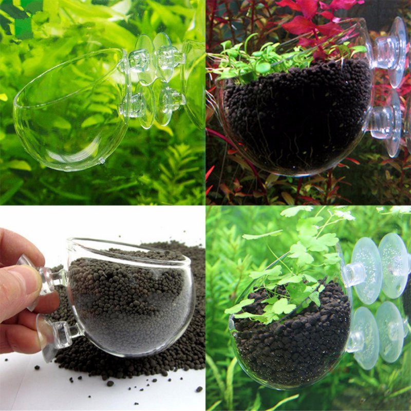 Aquarium hängen Blumentopf Gla – Planted Aquarium Moss Bewertung und Preis