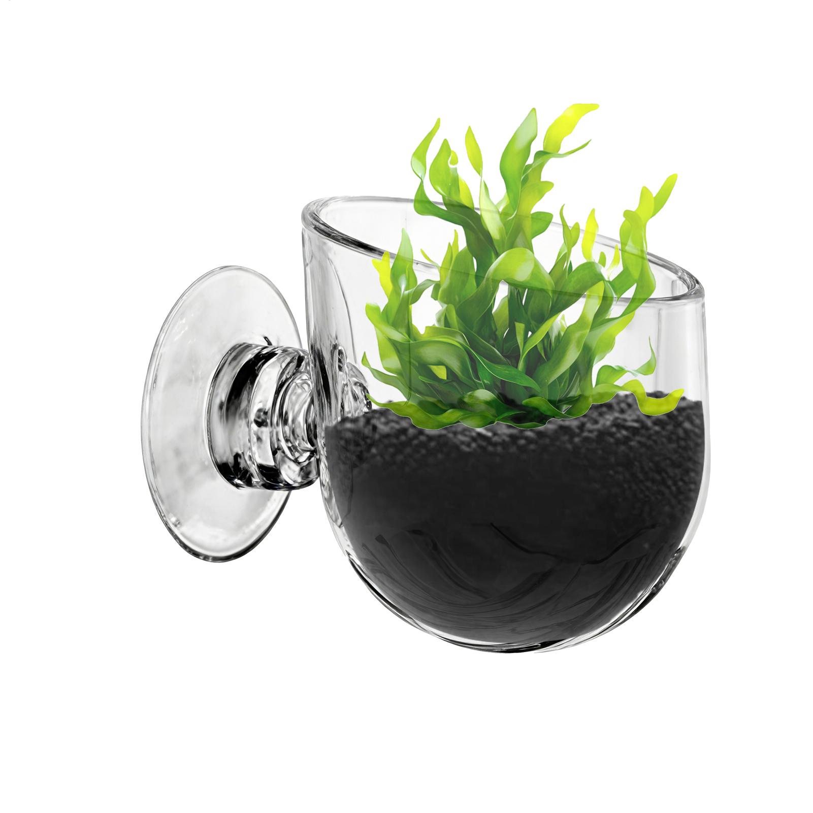 Aquarium-Pflanzenhalter aus Ac – Aquarium Planted Background Bewertung und Preis