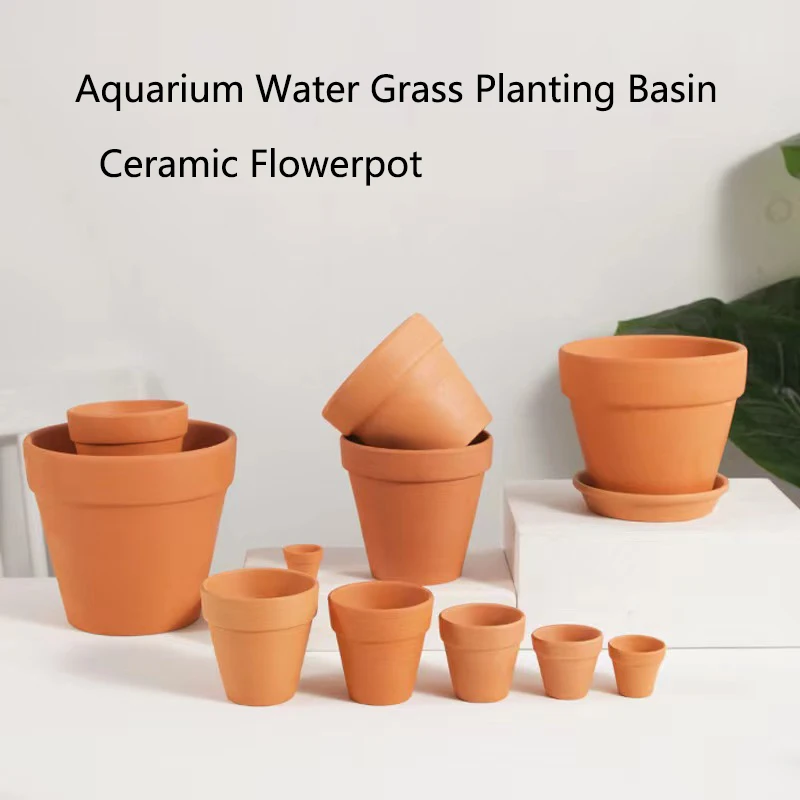Rot Schlamm Aquarium Dekoratio – Aquarium Plant Red Bewertung und Preis
