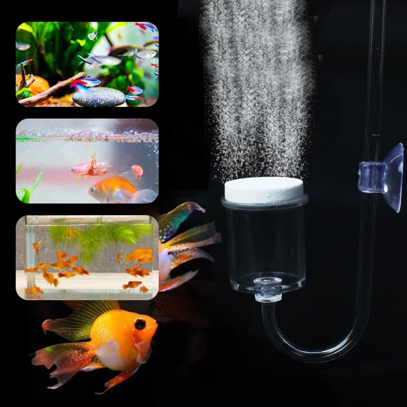 4 stücke Set DIY CO2-Diffusor  – Planted Aquarium Moss Bewertung und Preis