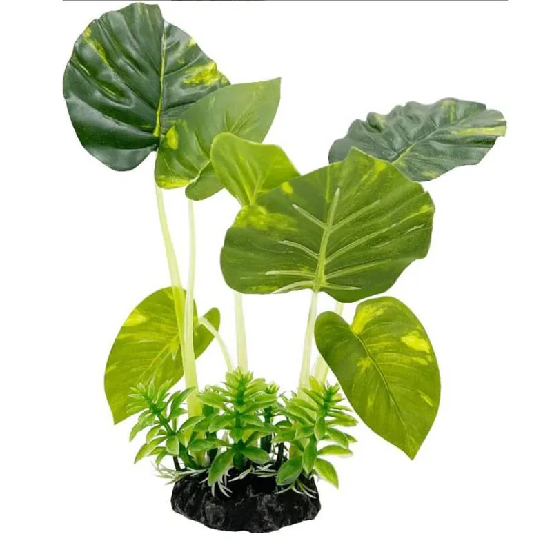 Kleine Unterwasser Gras Aquari – Aquarium Planted Background Bewertung und Preis