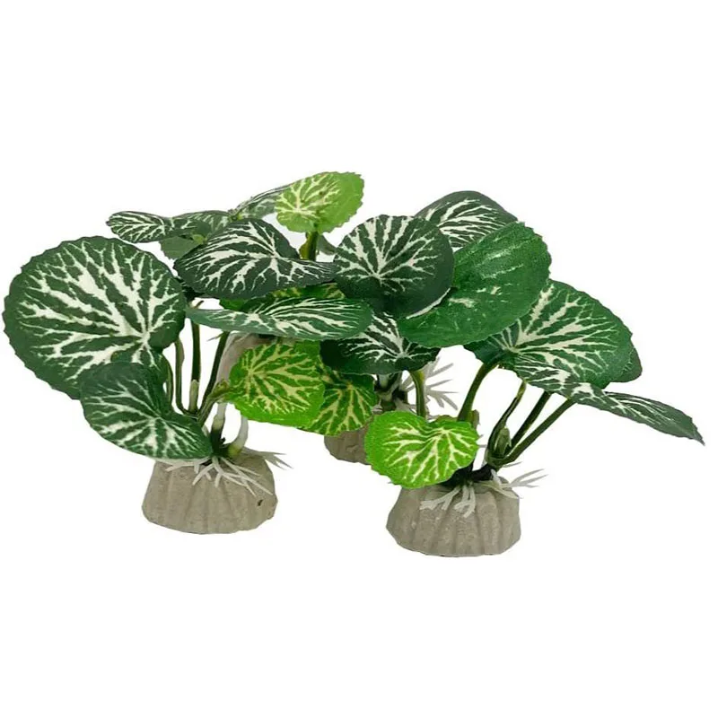 Kleine Unterwasser Gras Aquari – Aquarium Planted Background Bewertung und Preis