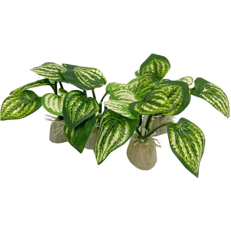 Kleine Unterwasser Gras Aquari – Aquarium Planted Background Bewertung und Preis