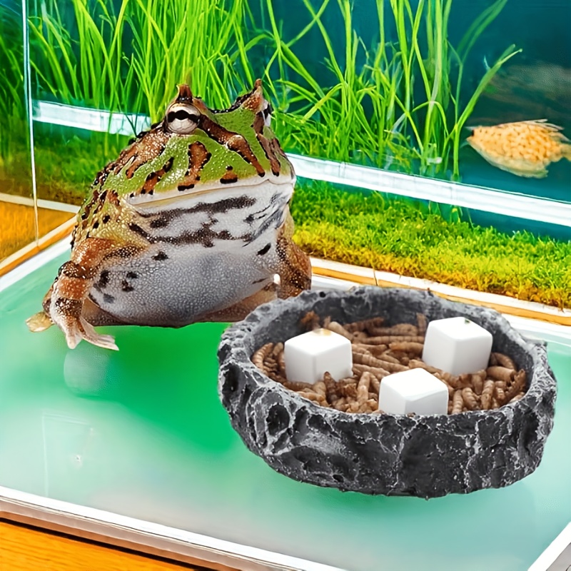 6-teiliger Aquarium-Kalziumblo – Aquarium Plant Rings Bewertung und Preis