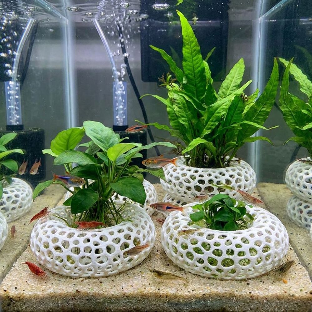 3D-Gedruckte Fisch- und Garnel – Planted Aquarium Moss Bewertung und Preis