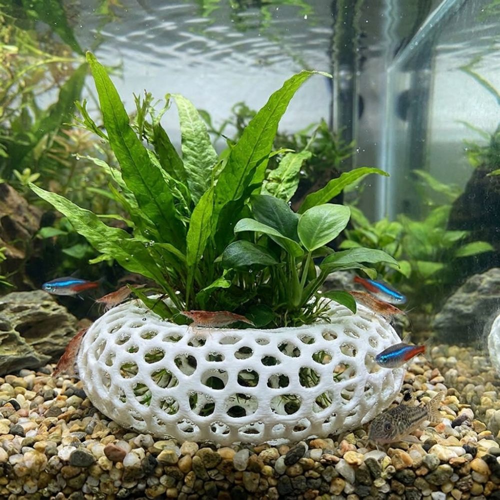 3D-Gedruckte Fisch- und Garnel – Planted Aquarium Moss Bewertung und Preis